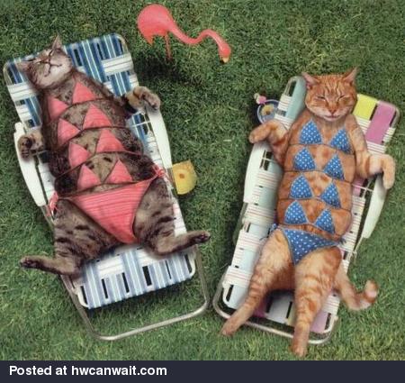 Catch Some Rays