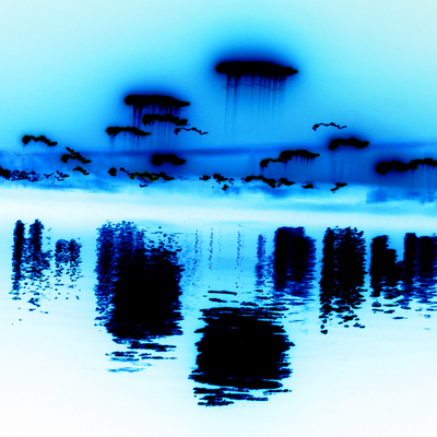Hopo_square