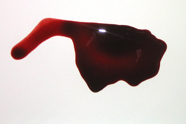 Blood_pool