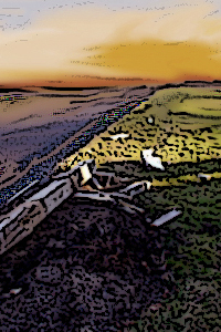 Bottle_of_beer_sunset_catalog