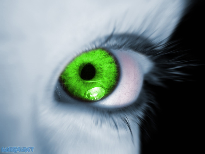 Greeneyev2