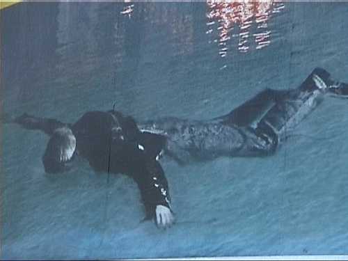 Pool_dead
