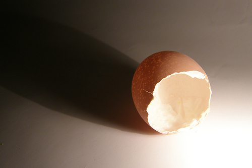 10-15-2009egg