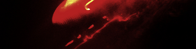Dscf0048_strip