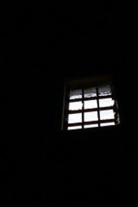 Window_alan_falcon_catalog