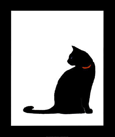 Single-black-cat