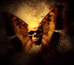 Skullerfly