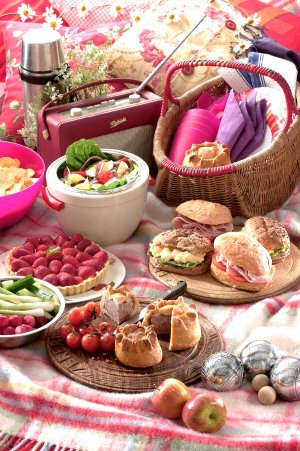 Picnic2