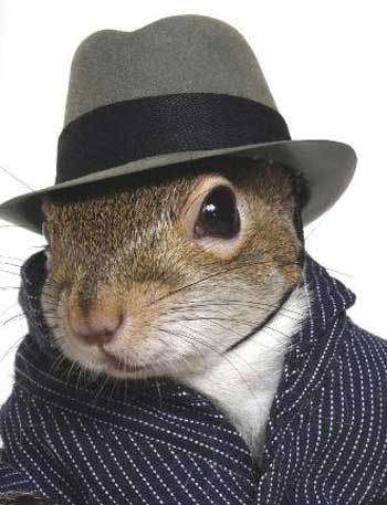 Sammy_squirrel_