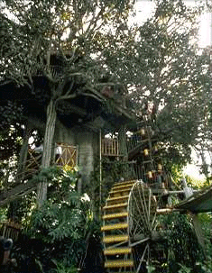 Treehousedoor