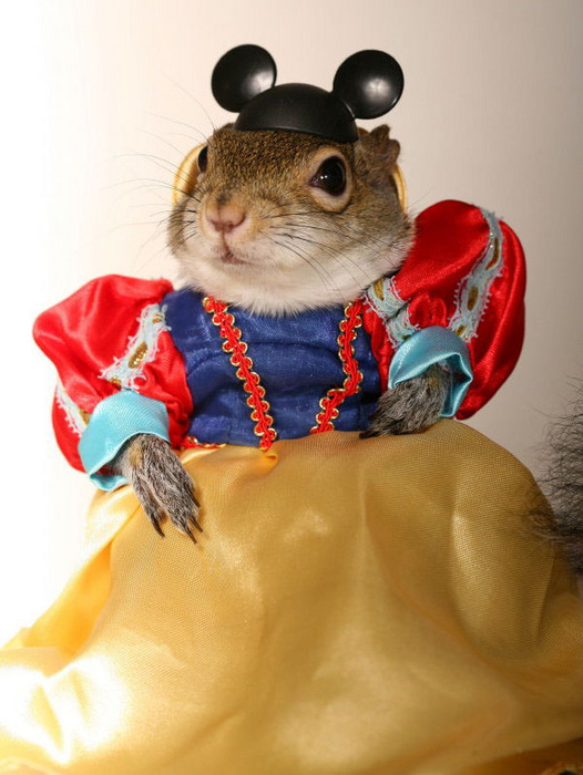 Sarah_squirrel