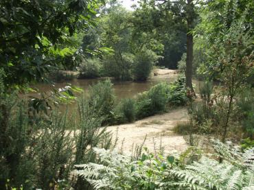 Pond
