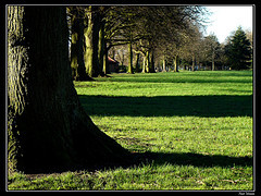Park
