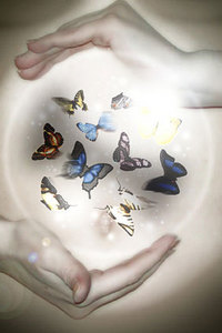 Butterfliesinthestomach_catalog
