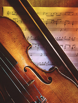 Violin