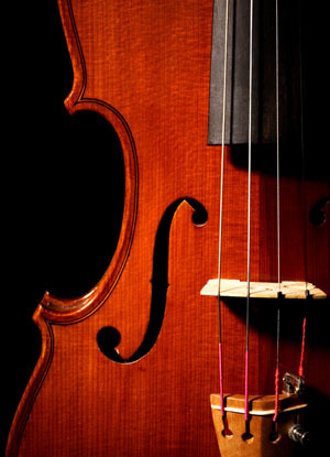 Violin