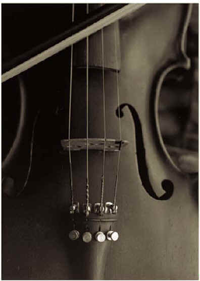 Violin9