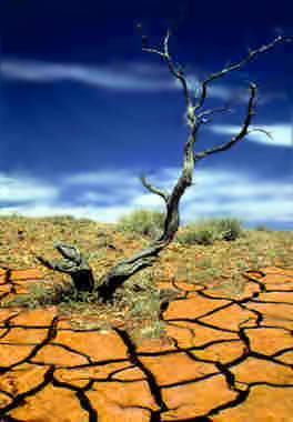 Drought-in-usa_4515