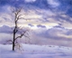 Solitude