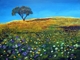 Golden Meadow