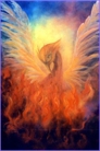 The Phoenix rising The Phoenix rising