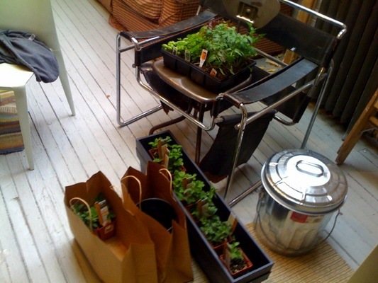 Photo-16_large