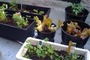 Photo-11_tiny