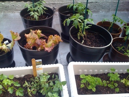 Photo-10_medium