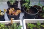 Photo-10_tiny