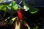 P1010259_tiny