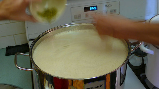Wort_large