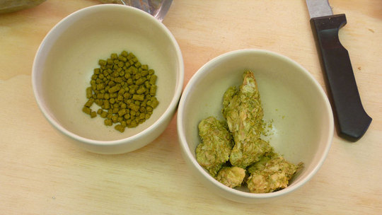 More-hops_large