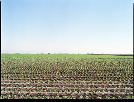 13320010_medium