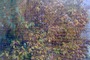 Photo_tiny