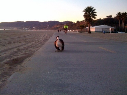 Photo_medium