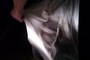 Photo_tiny