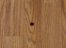 Blood_thirds
