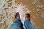 Pacific_tiny