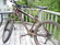Norco bigfoot