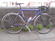 Ribble Trainer