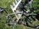Litespeed 