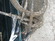Gary Fisher SuperCaliber 29er