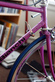 Bianchi Sport SX