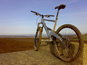 Guiborough_forest__3__thumb_wide