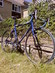 Giant OCR3