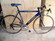 Olmo Rigel