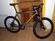 Litespeed lookout