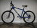 Raleigh M60