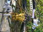 Dscn0546_thumb_wide
