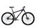 Gary Fisher Rig 29er